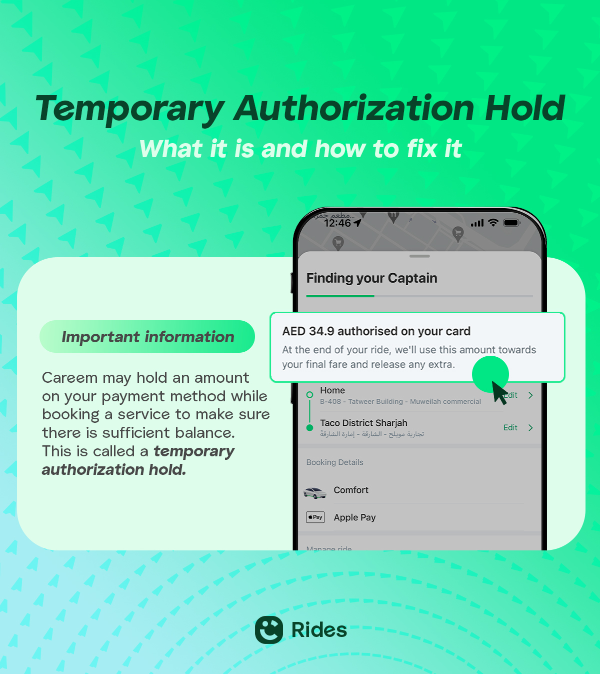 temp hold-visual copy.jpg