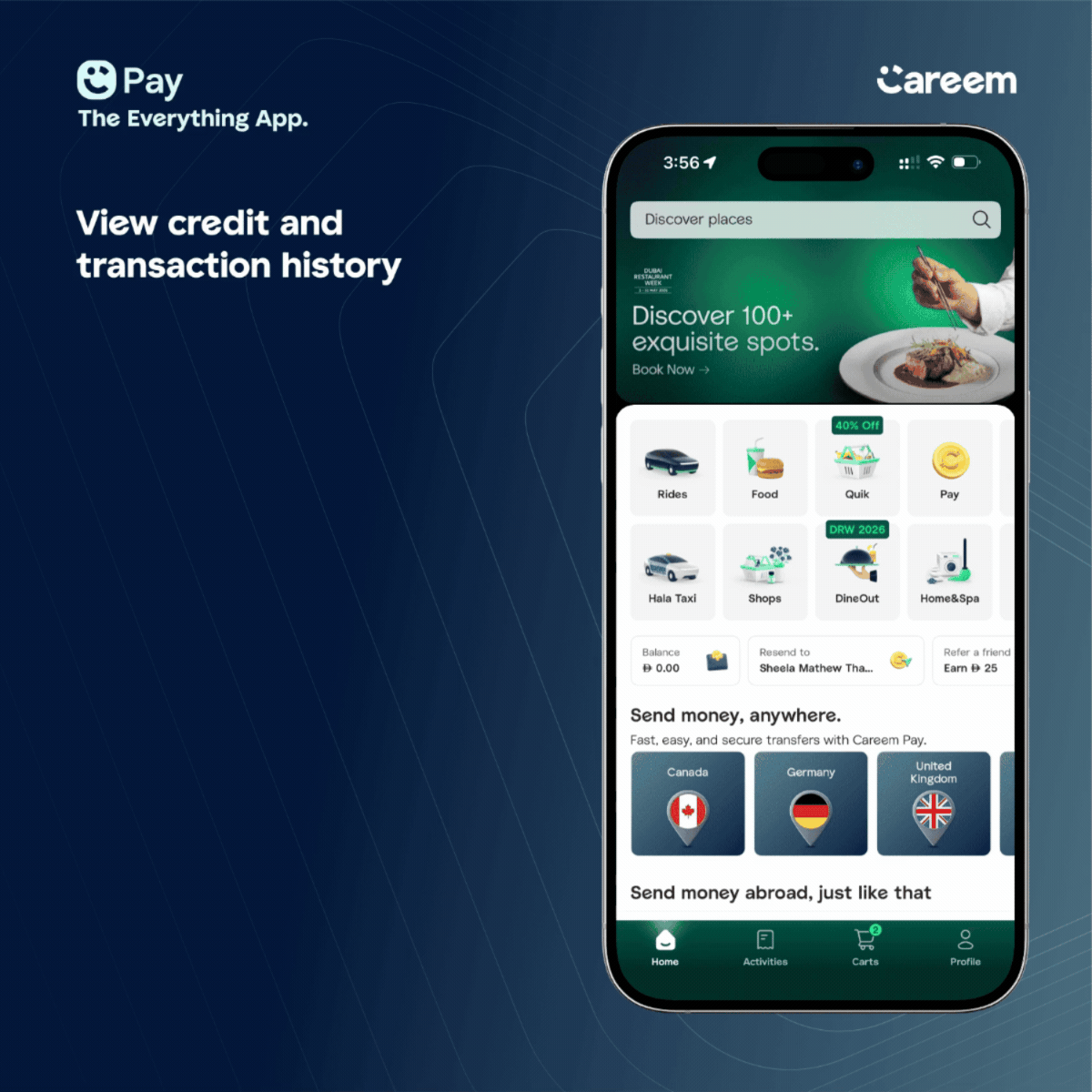 Pay - credit history.gif